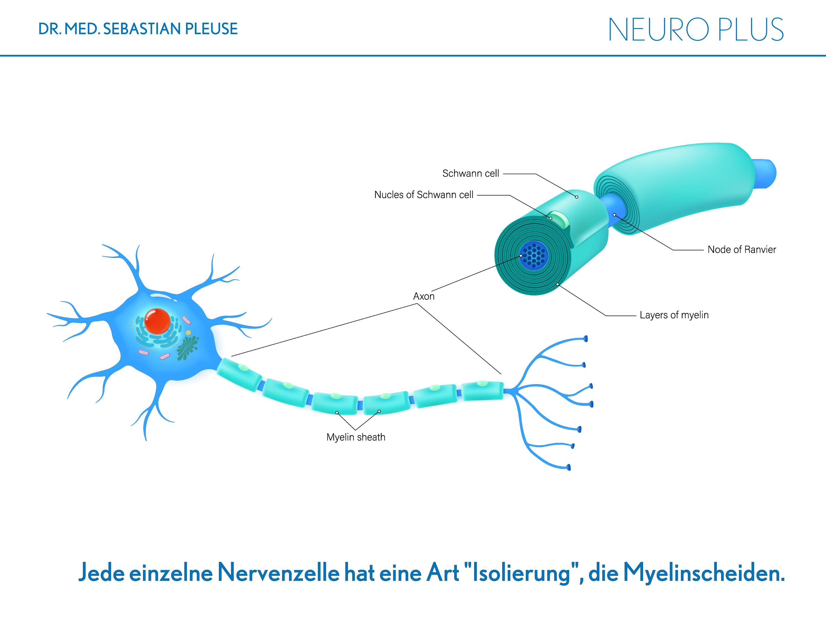 Neuro Plus Doppelpack (2 Monate)
