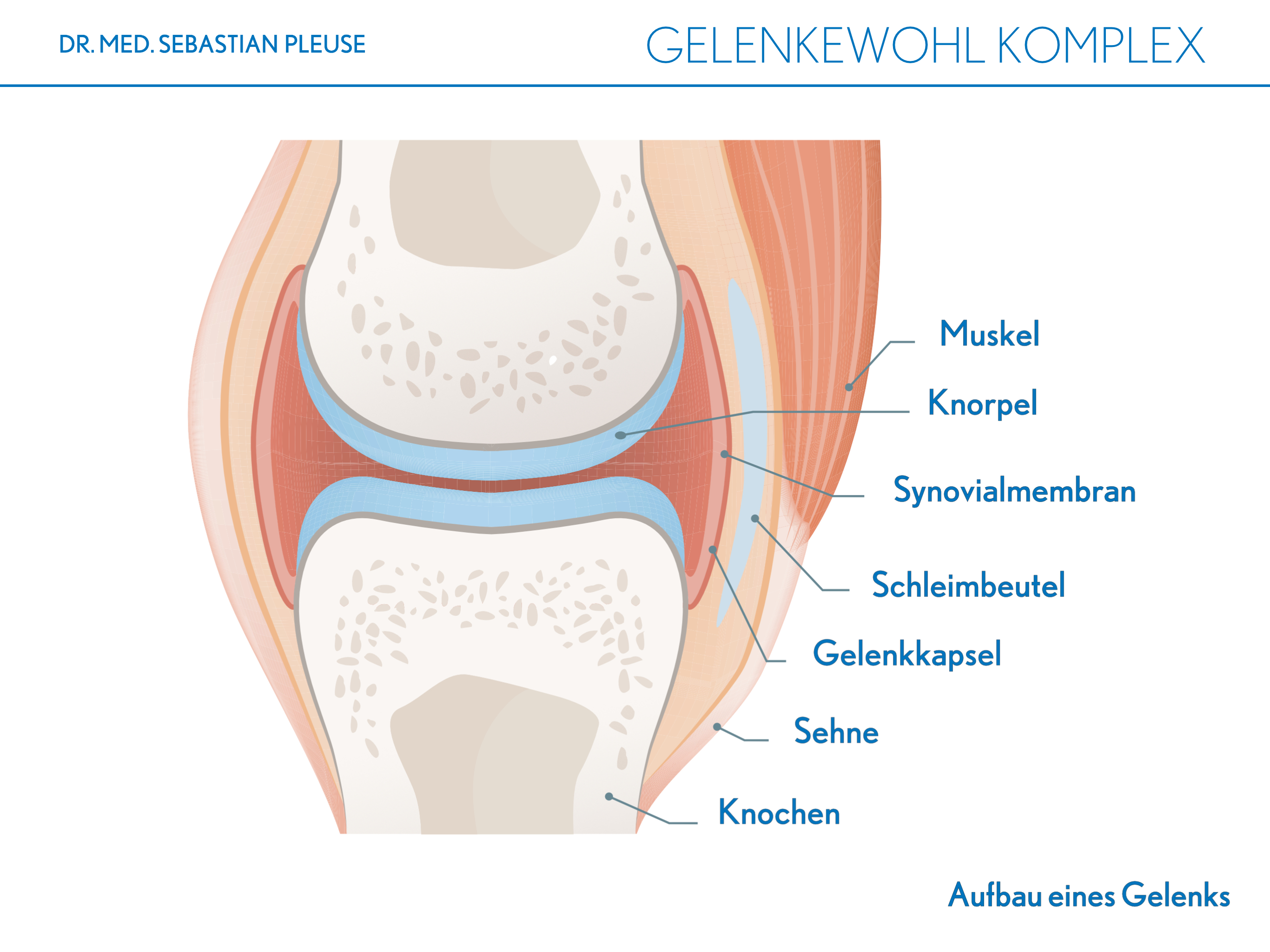 Gelenkewohl Komplex (1 Monat)