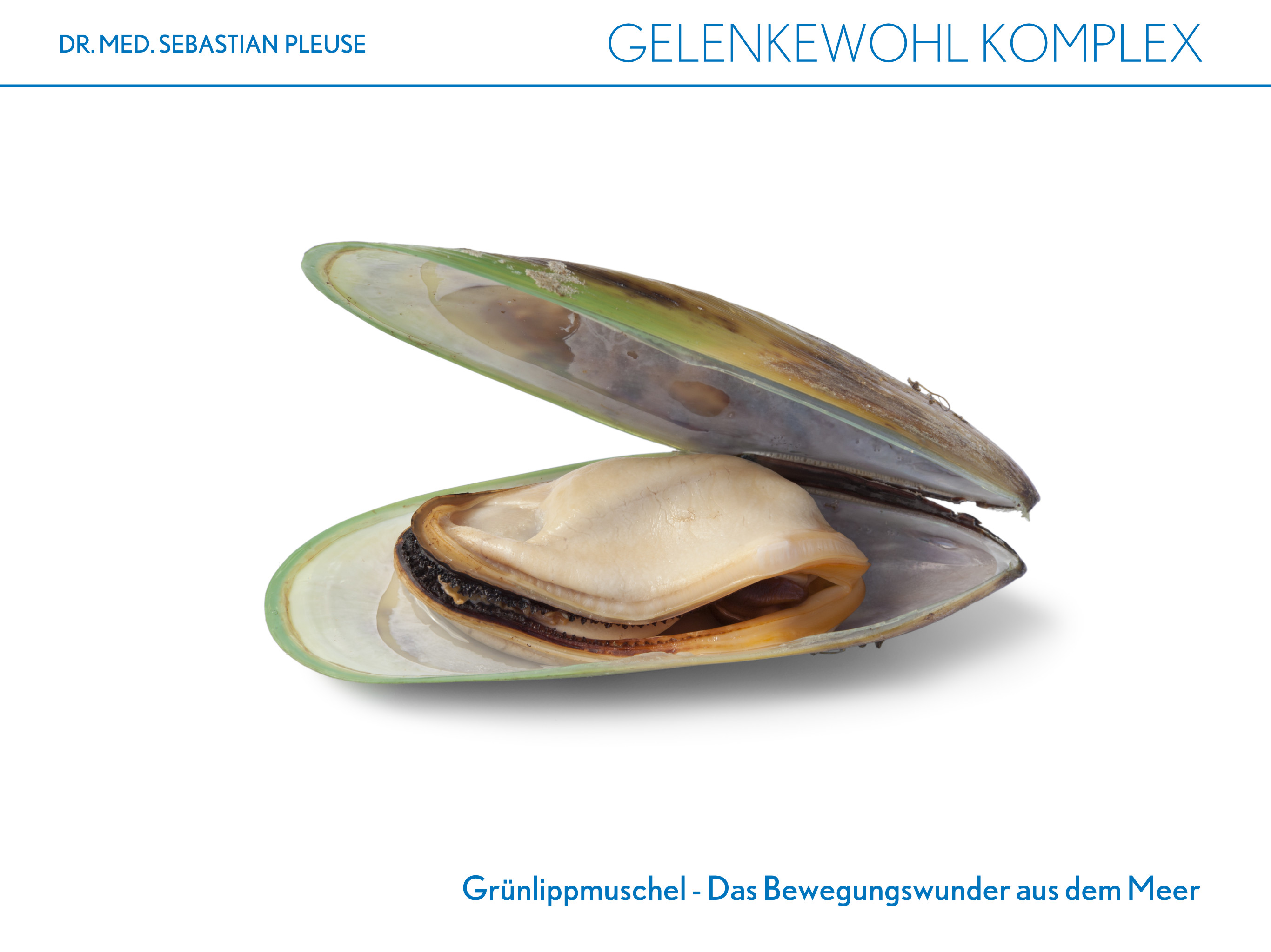 Gelenkewohl Komplex (1 Monat)