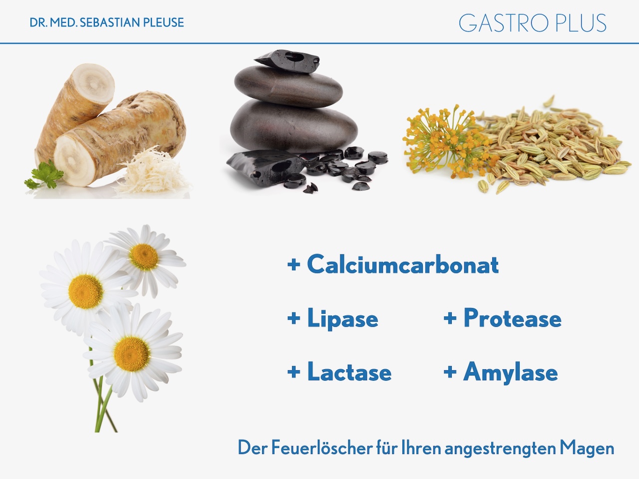 Gastro Plus (1 Monat)