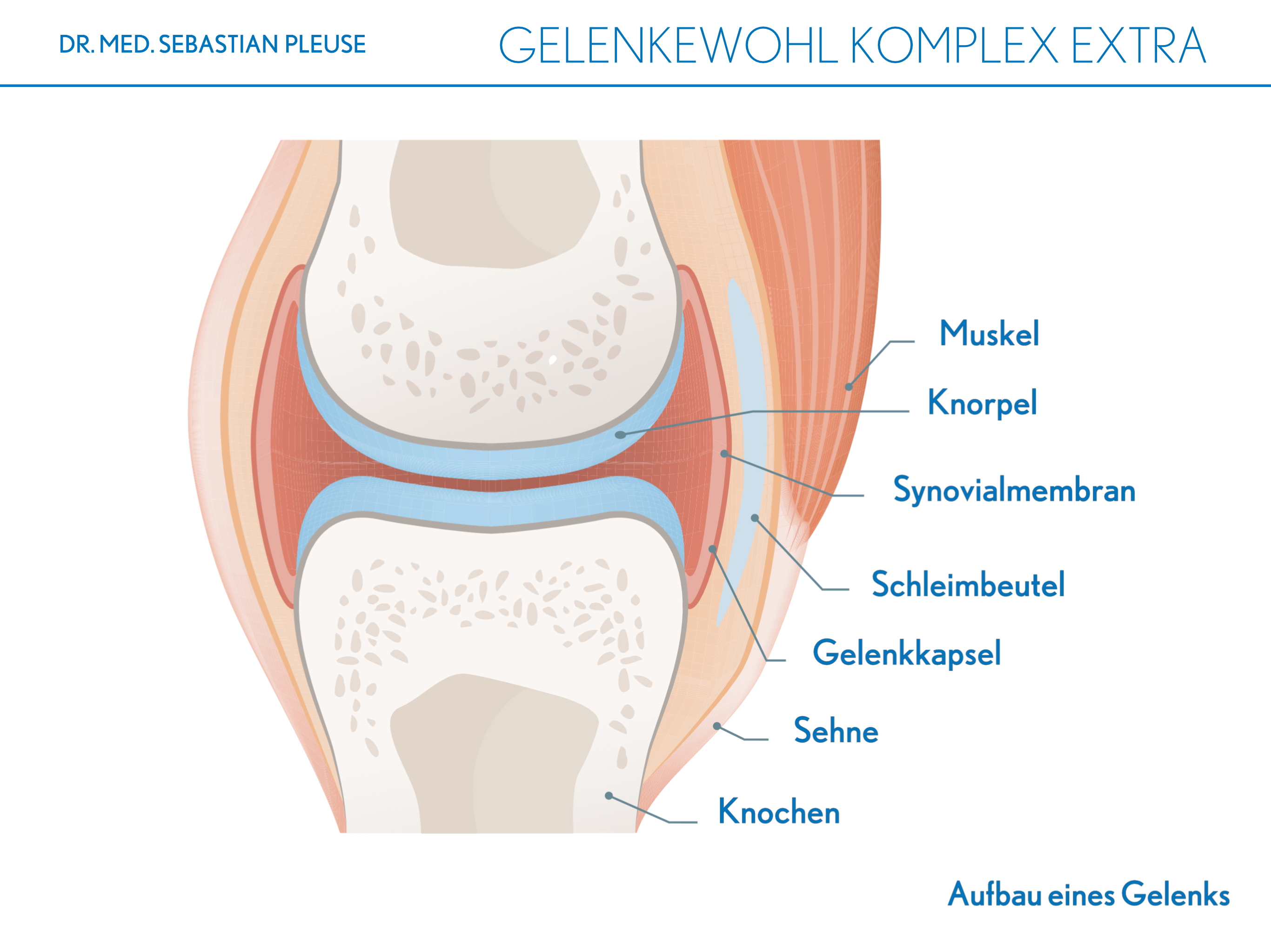 Gelenkewohl Komplex Extra Doppelpack (2 Monate)