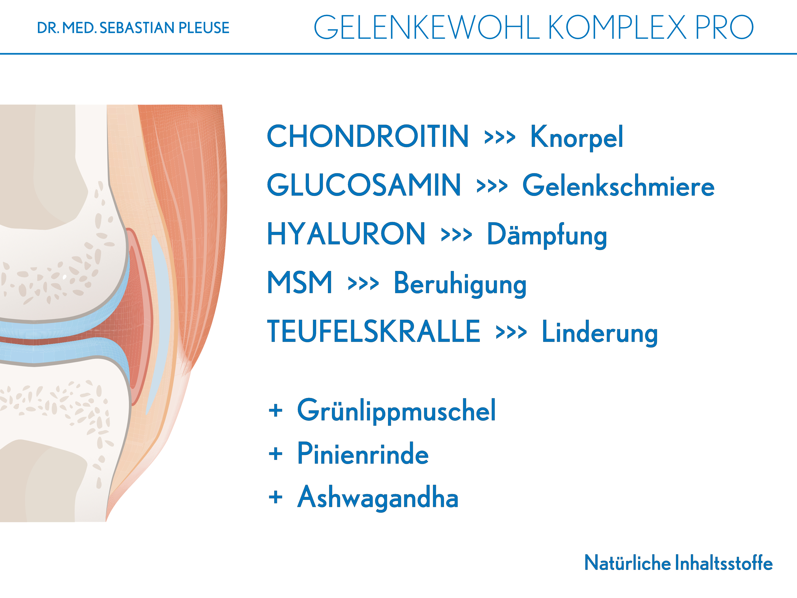 Gelenkewohl Komplex Pro DOPPELPACK (3 Monate)