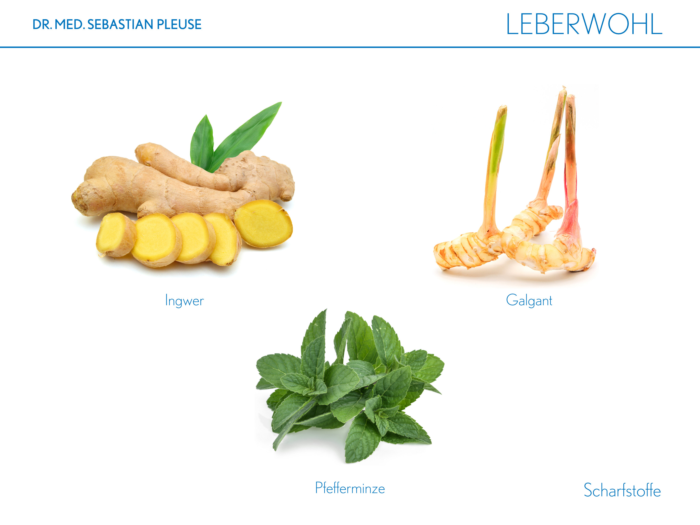 Leberwohl MEGAPACK (3 Monate)