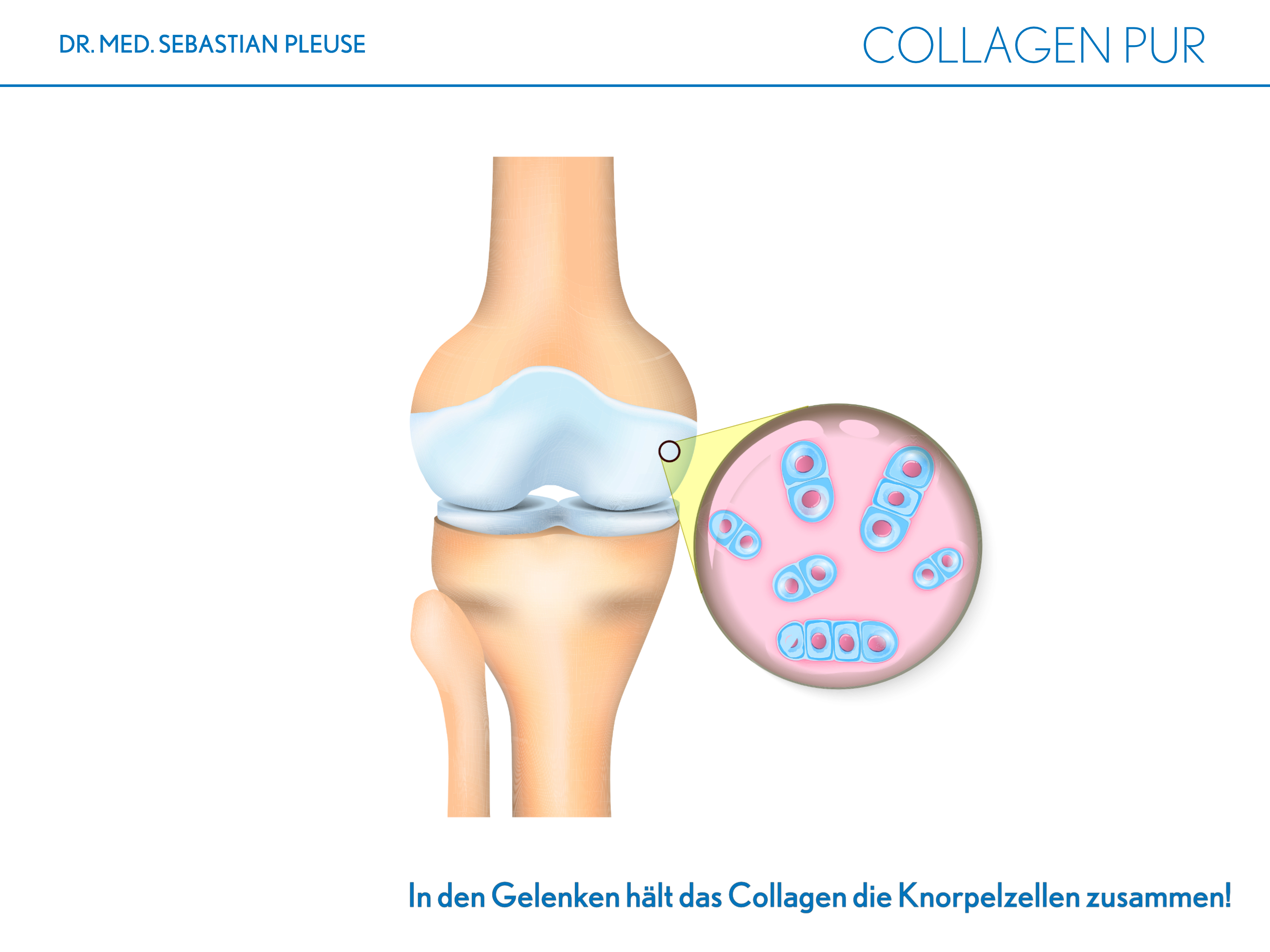 Collagen Pur DOPPELPACK (2 Monate)