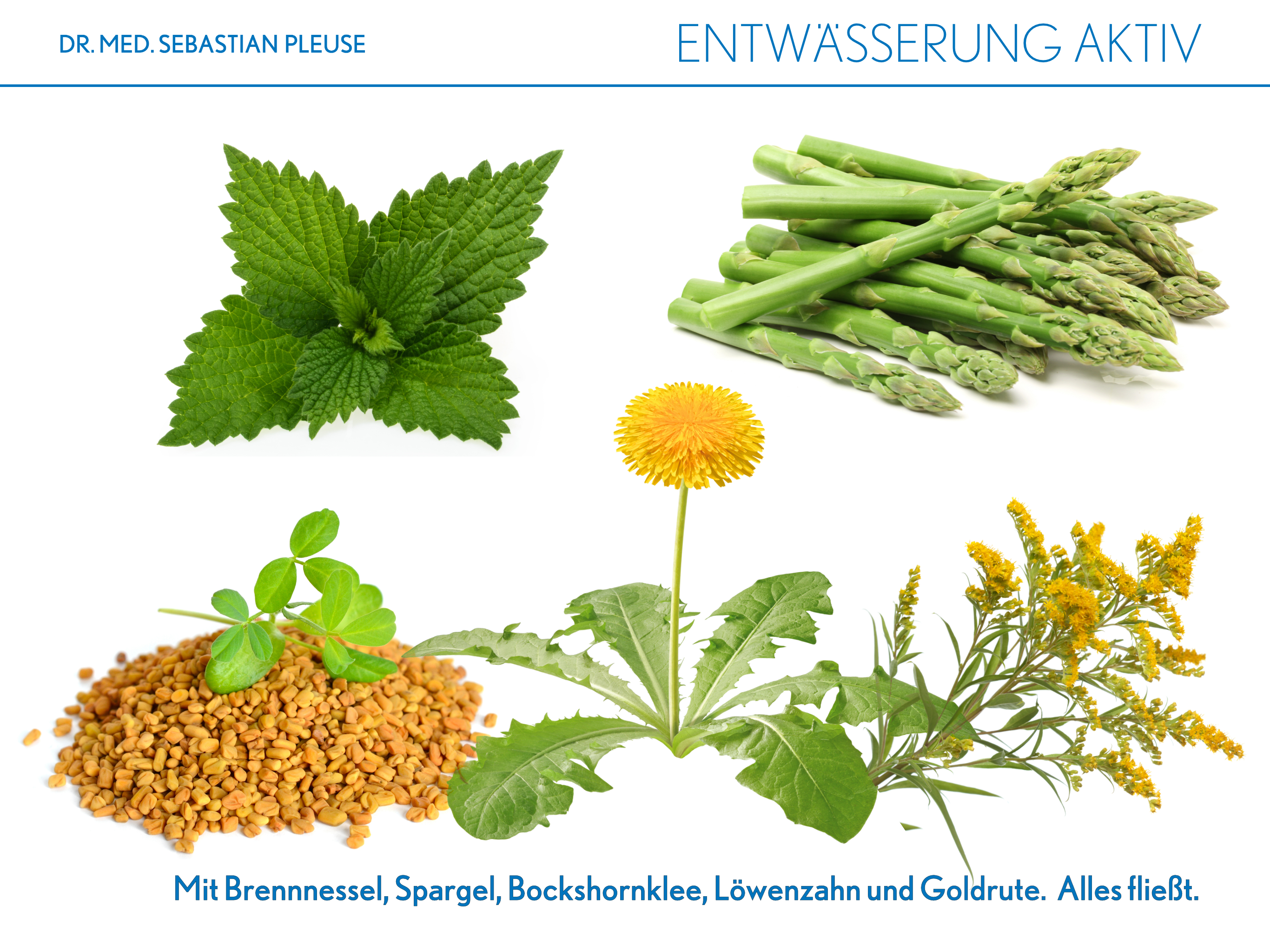 Entwässerung Aktiv (1 Monat)