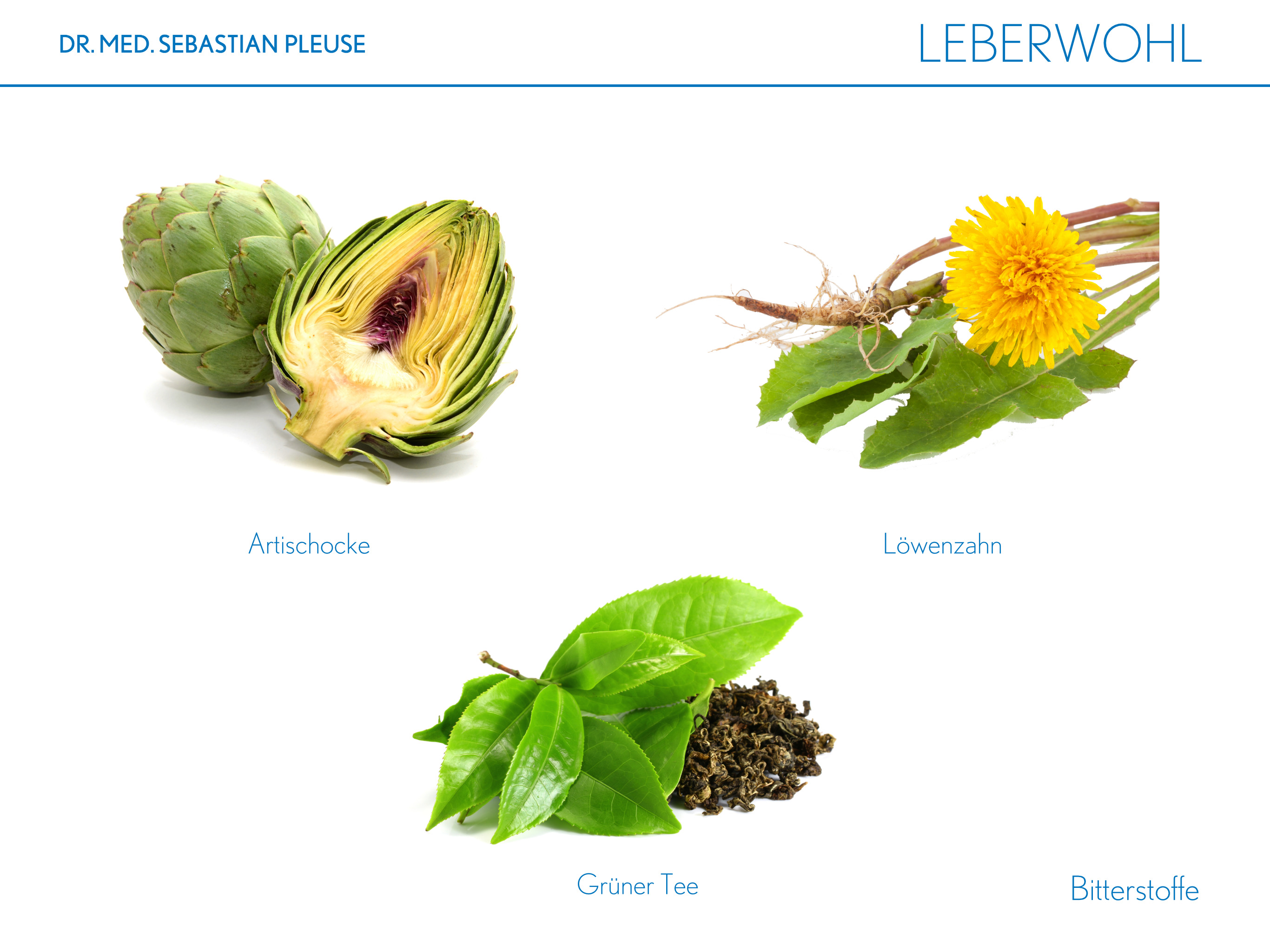 Leberwohl MEGAPACK (3 Monate)