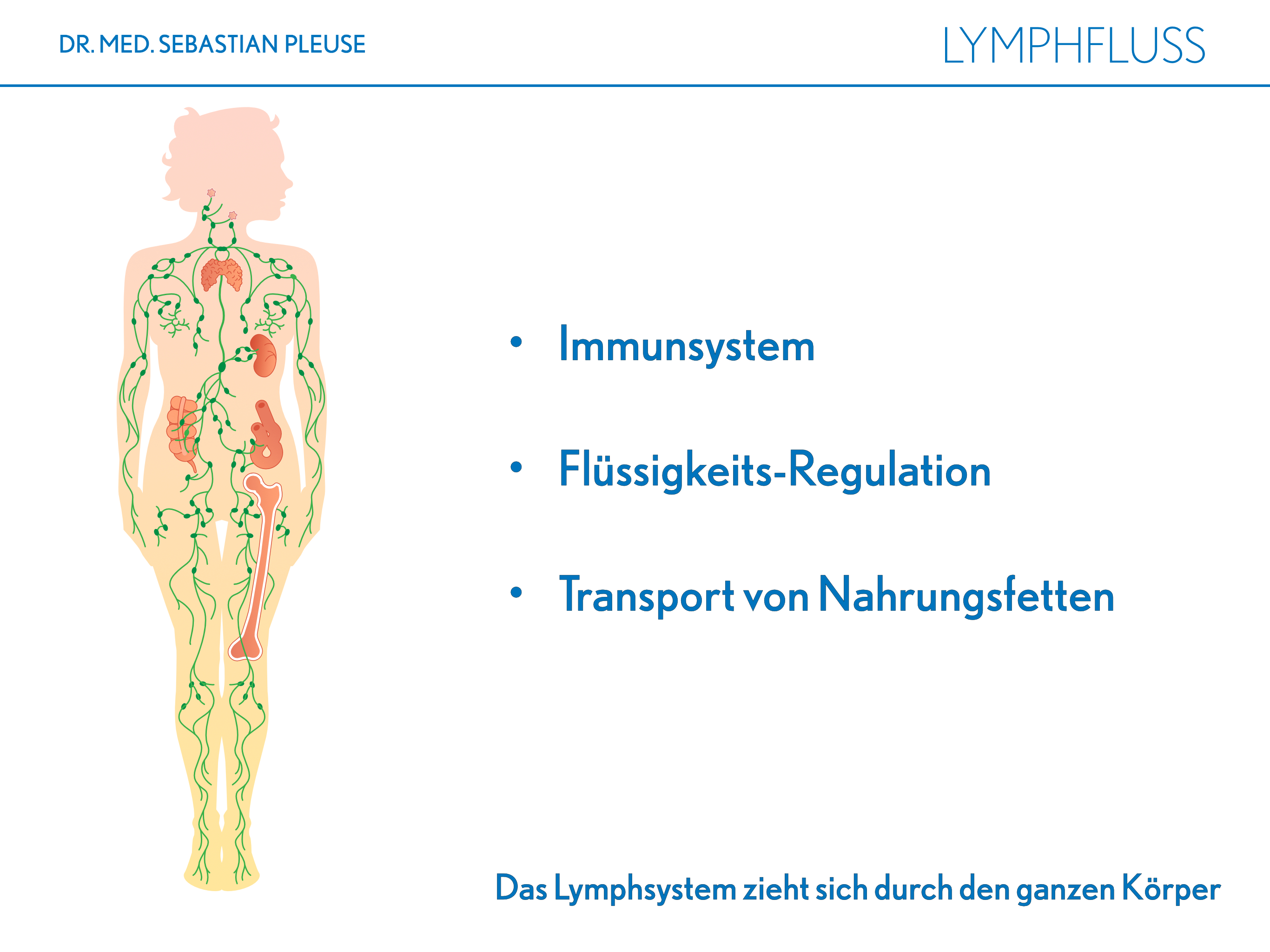 Lymphfluss (1 Monat)