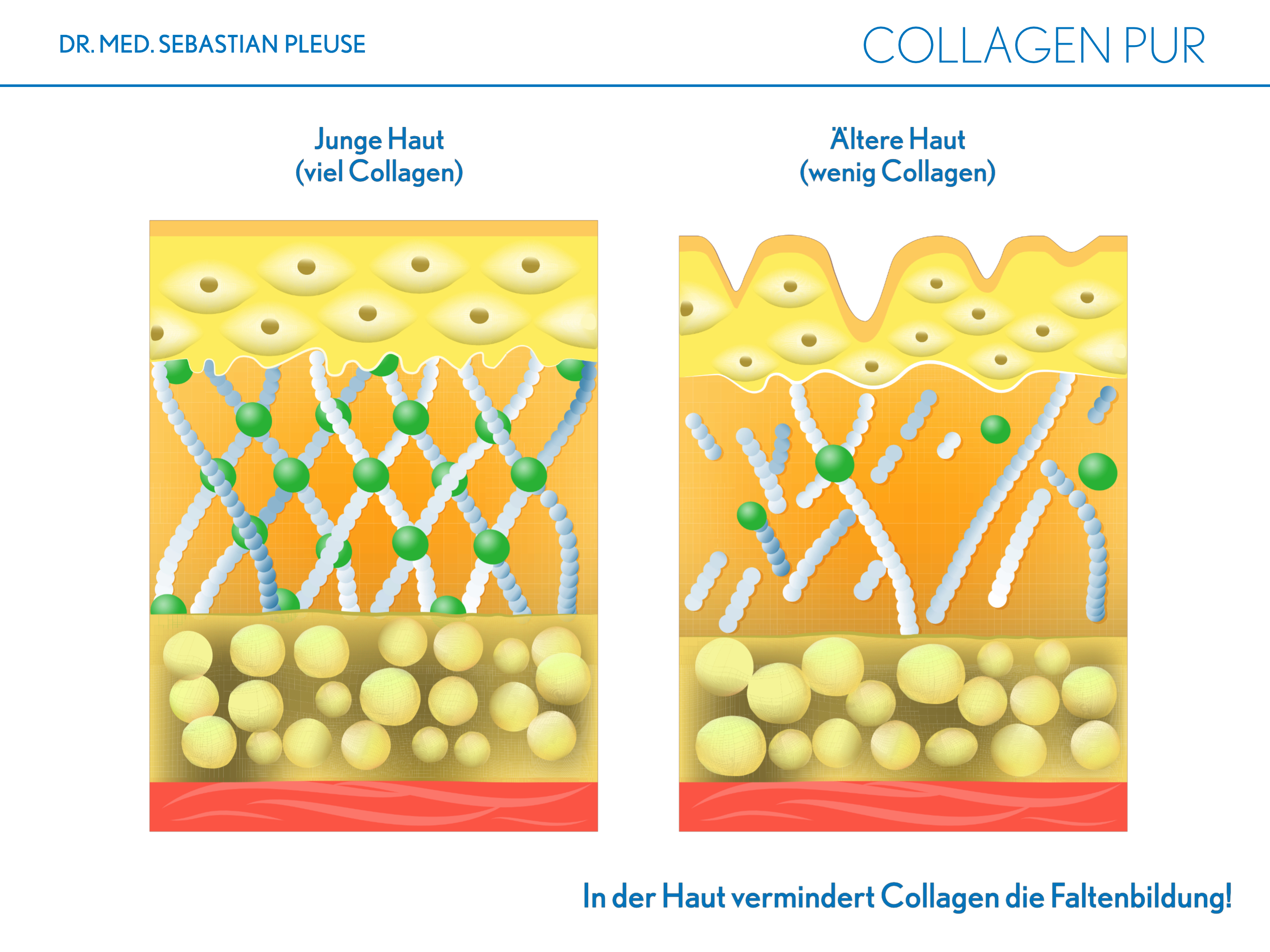 Collagen Pur DOPPELPACK (2 Monate)