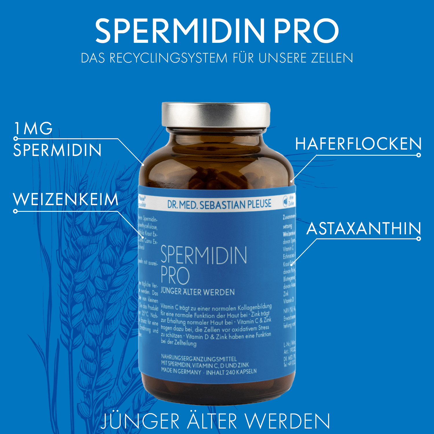 Spermidin Pro (4 Monate)