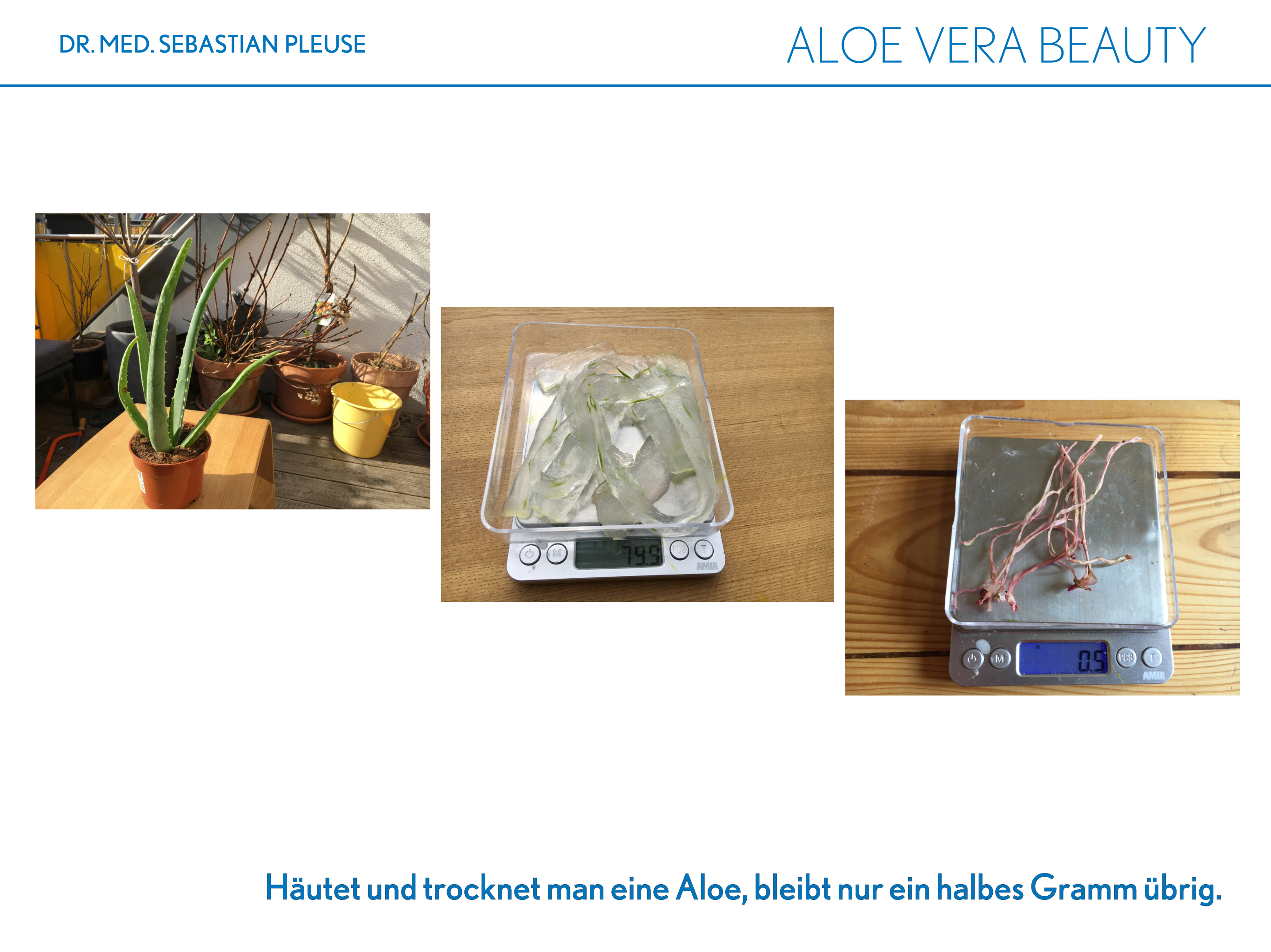 Aloe Vera Beauty (1 Monat)
