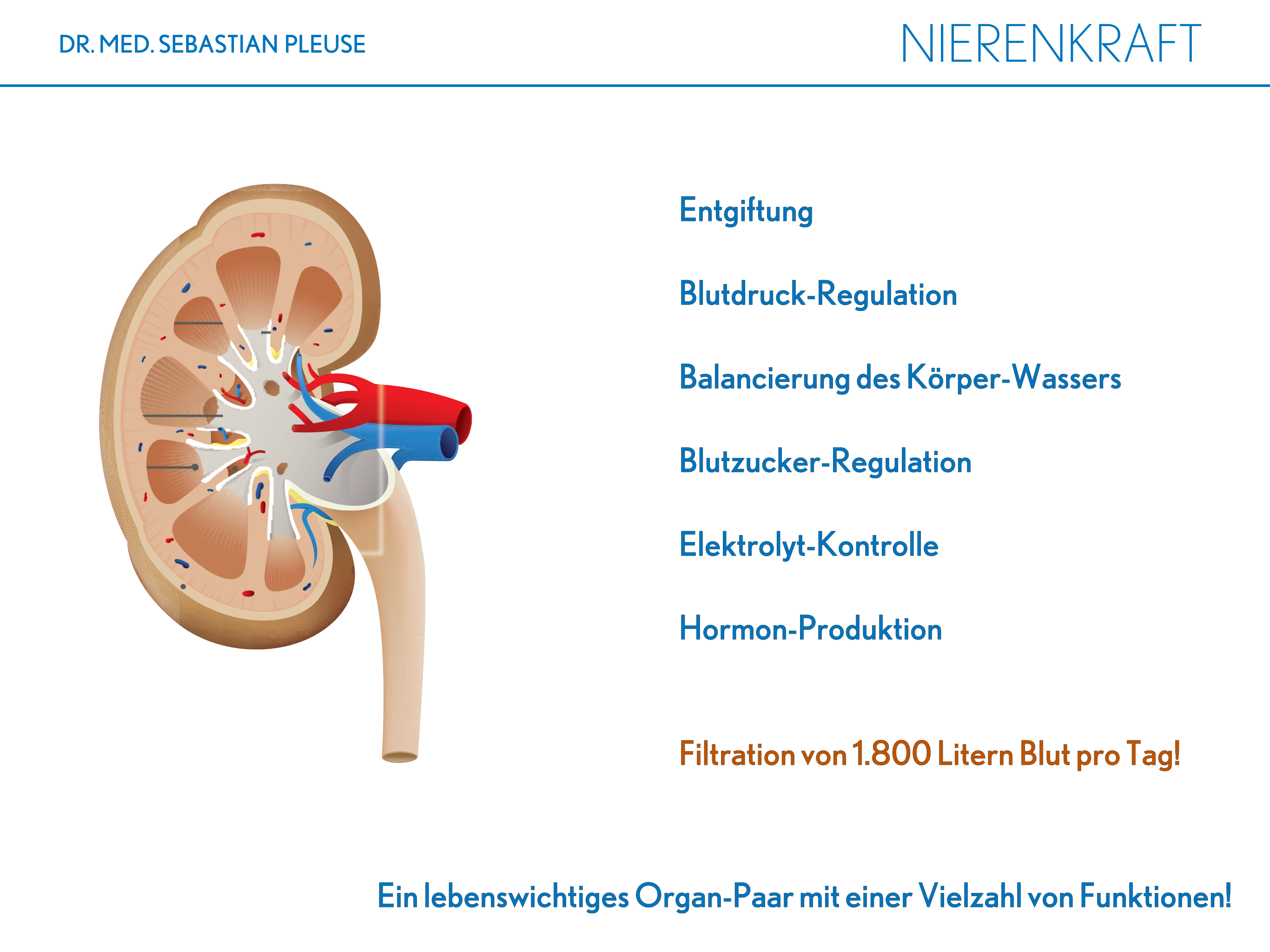 Nierenkraft DOPPELPACK (2 Monate)