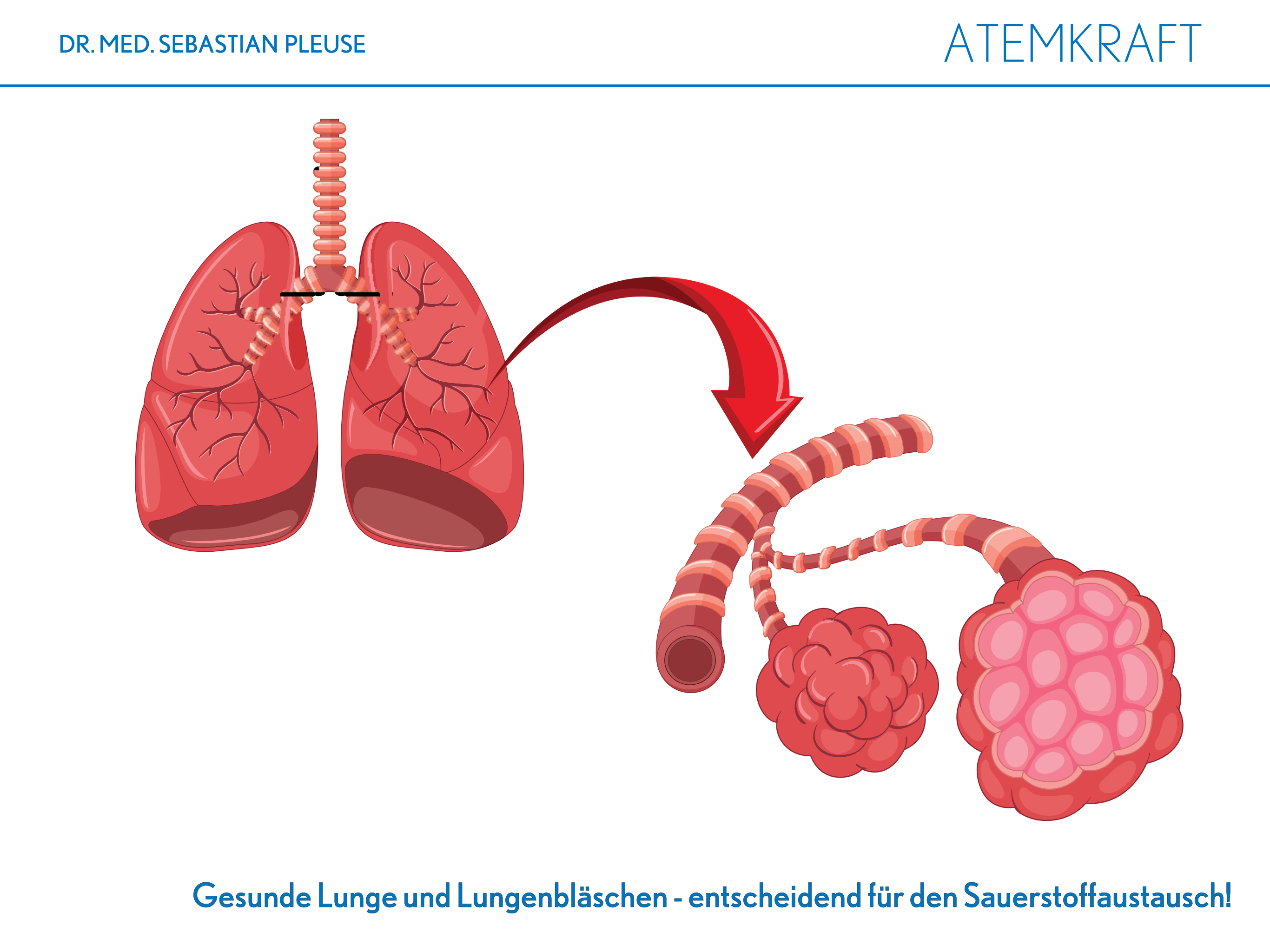Atemkraft DOPPELPACK (2 Monate)