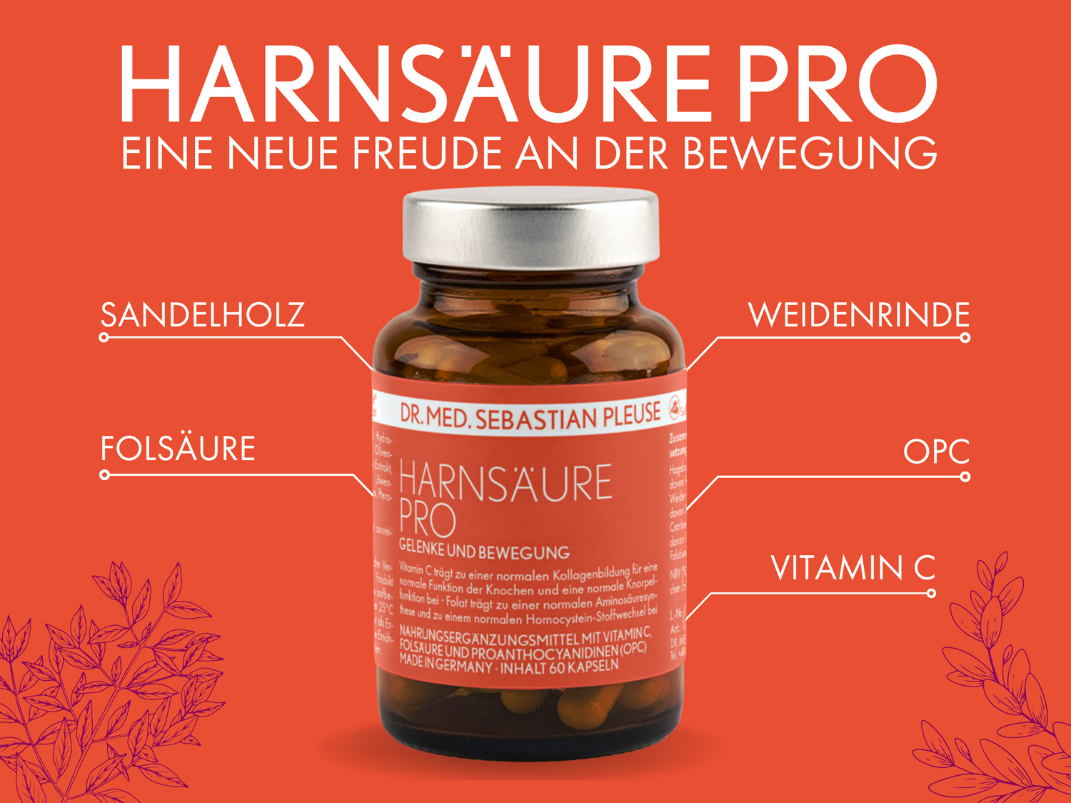 Harnsäure Pro Dr Pleuse