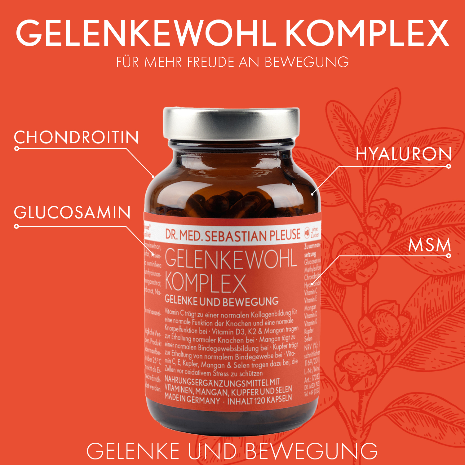 Gelenkewohl Komplex (1 Monat)