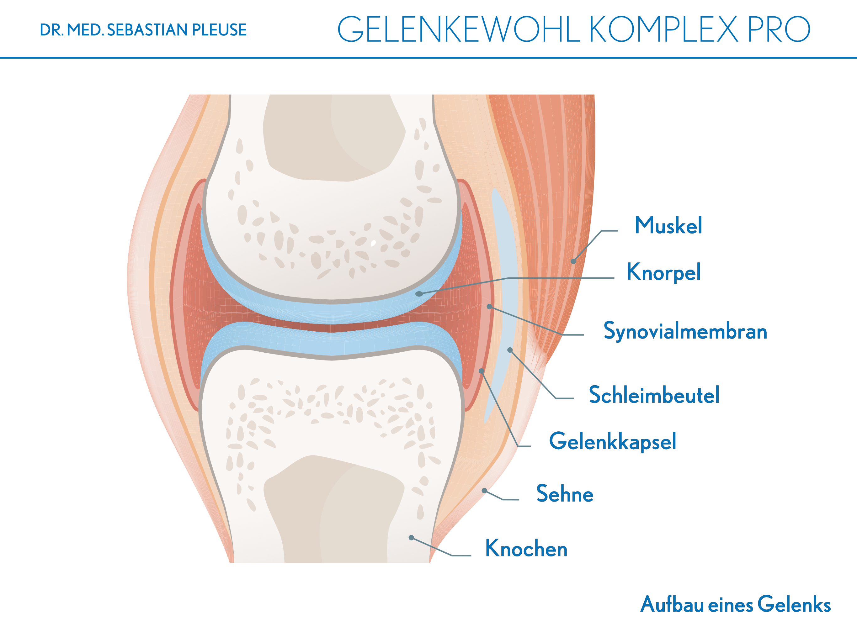 Gelenkewohl Komplex Pro DOPPELPACK (3 Monate)