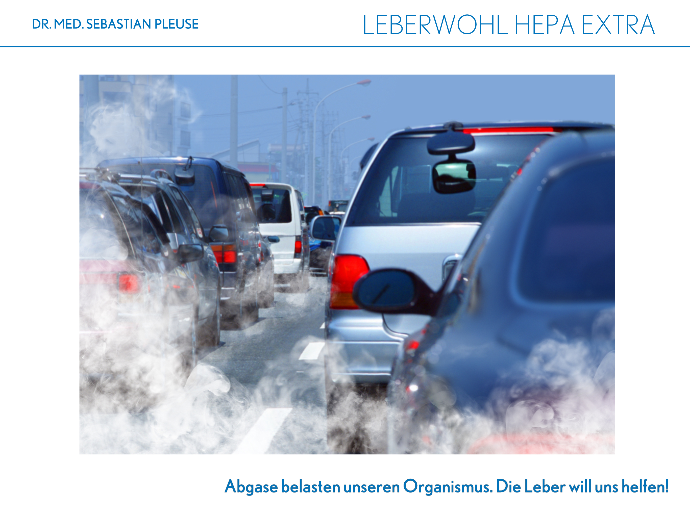 Leberwohl Hepa Extra (4 Monate)
