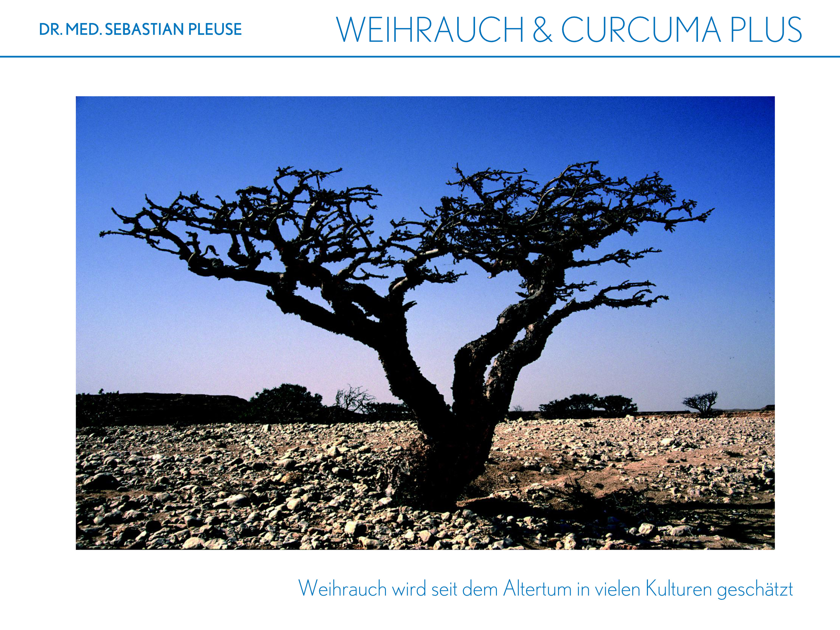 Weihrauch & Curcuma Plus DOPPEL-MAXIPACK (4 Monate)