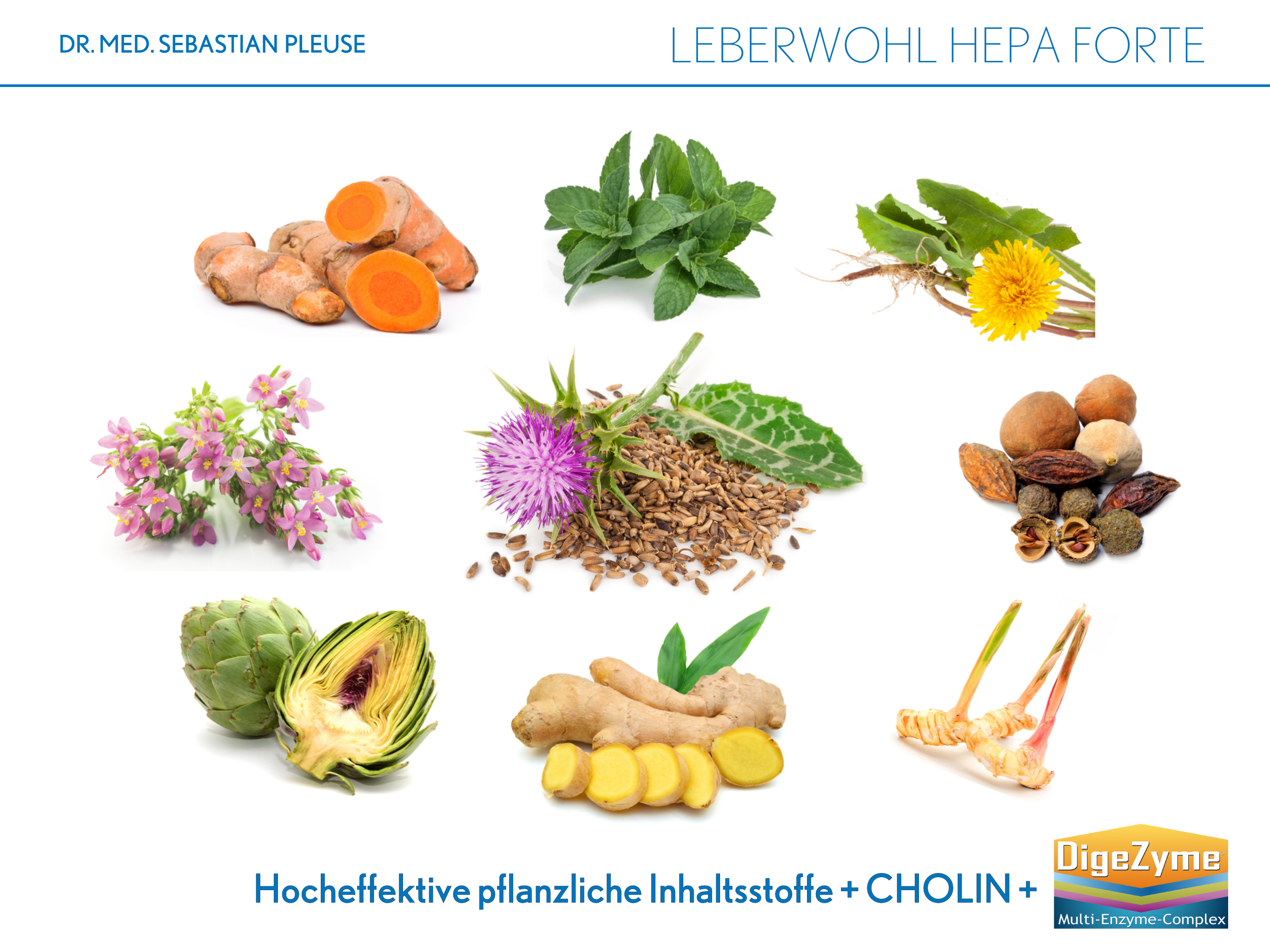 Leberwohl Hepa Forte (4 Monate)