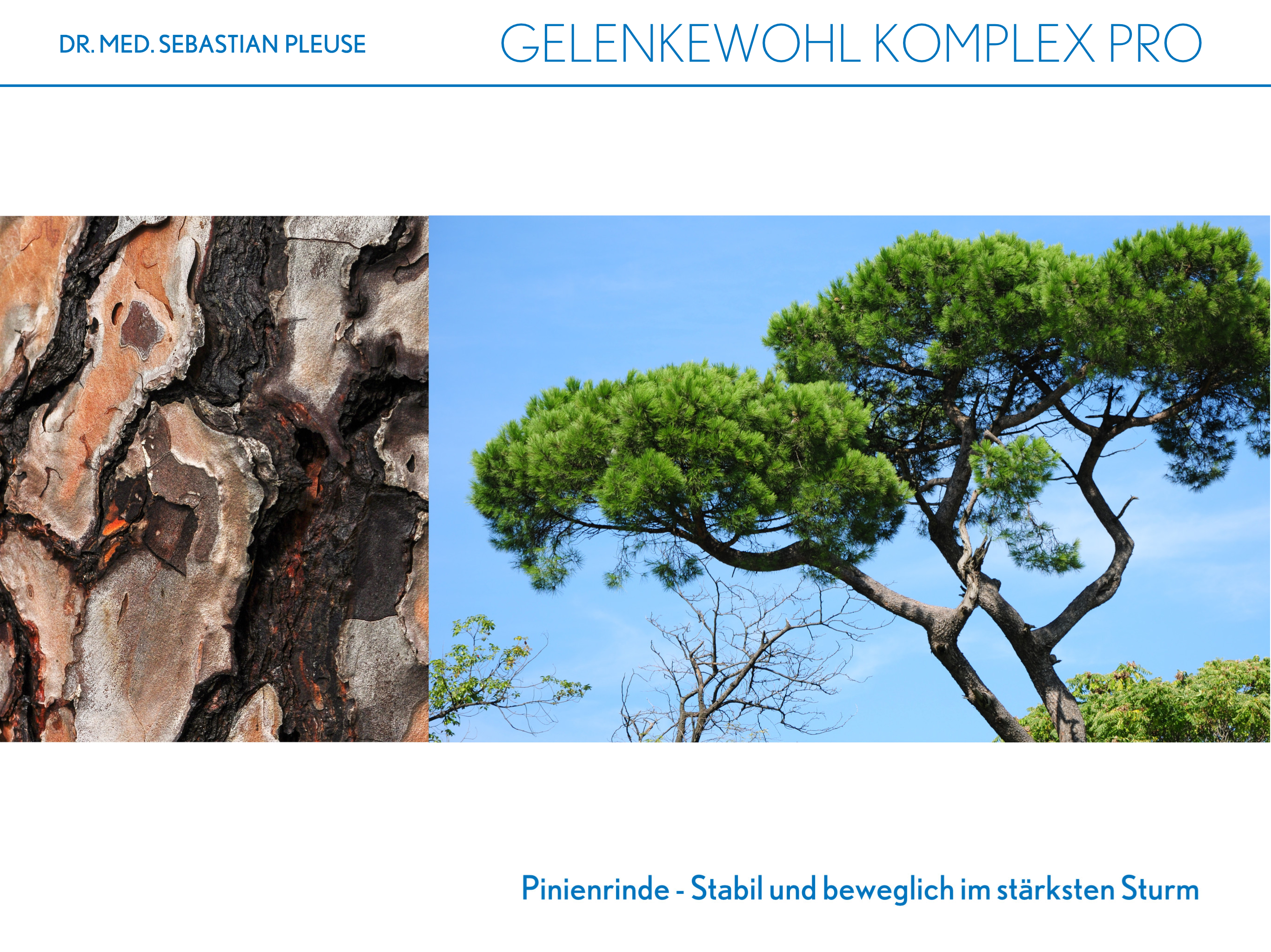 Gelenkewohl Komplex Pro DOPPELPACK (3 Monate)
