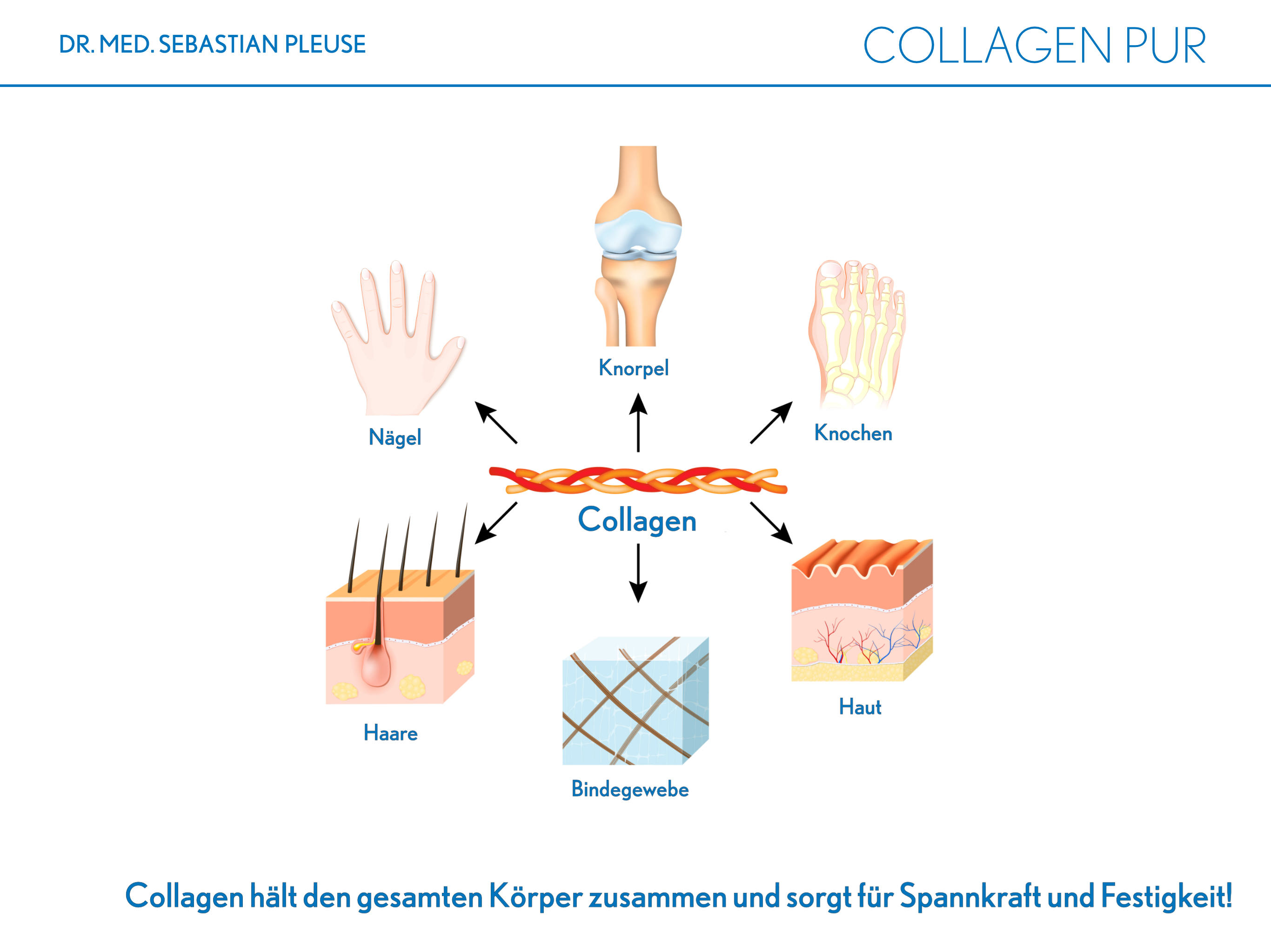 Collagen Pur DOPPELPACK (2 Monate)