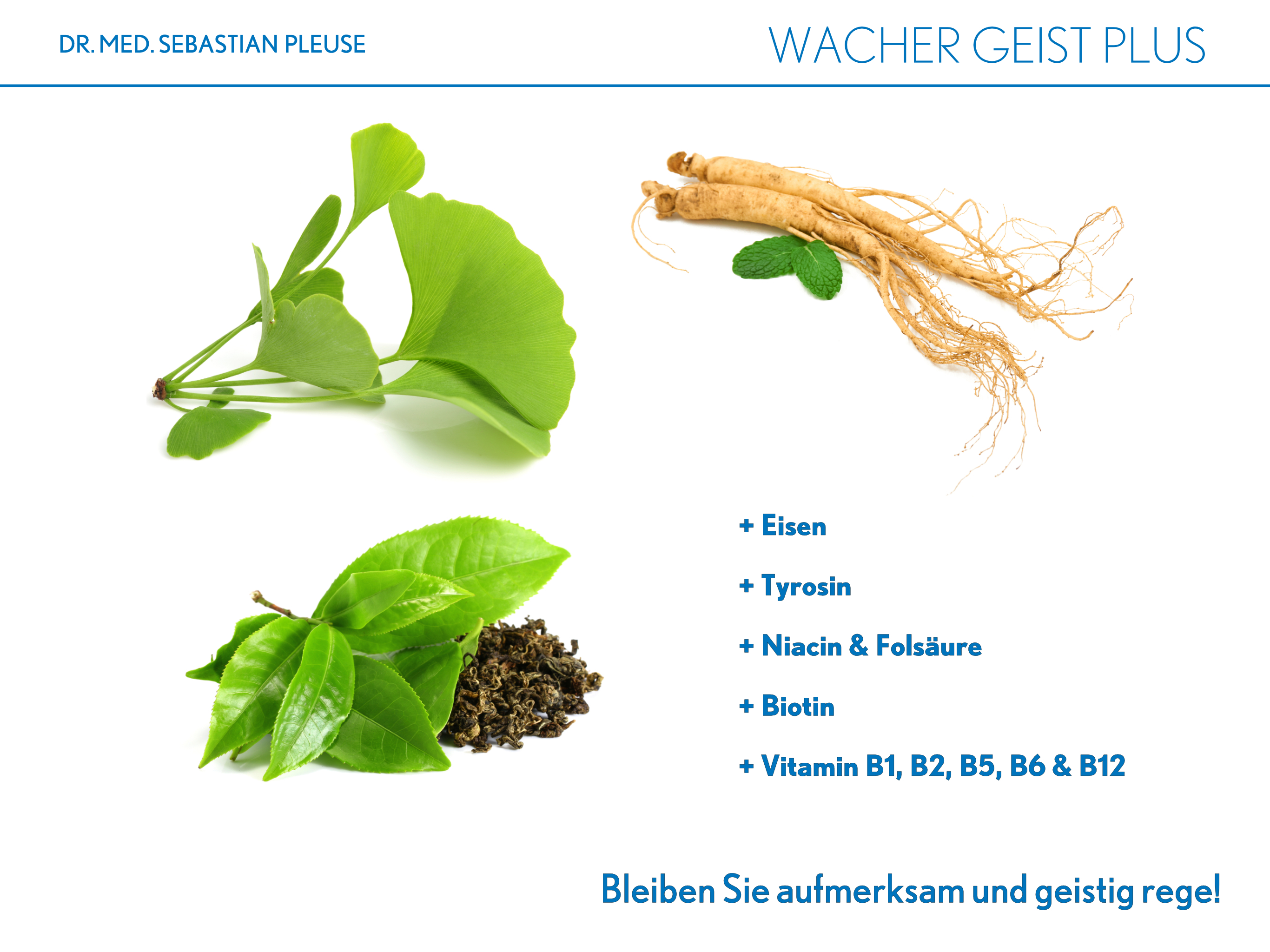 Wacher Geist Plus (1 Monat)