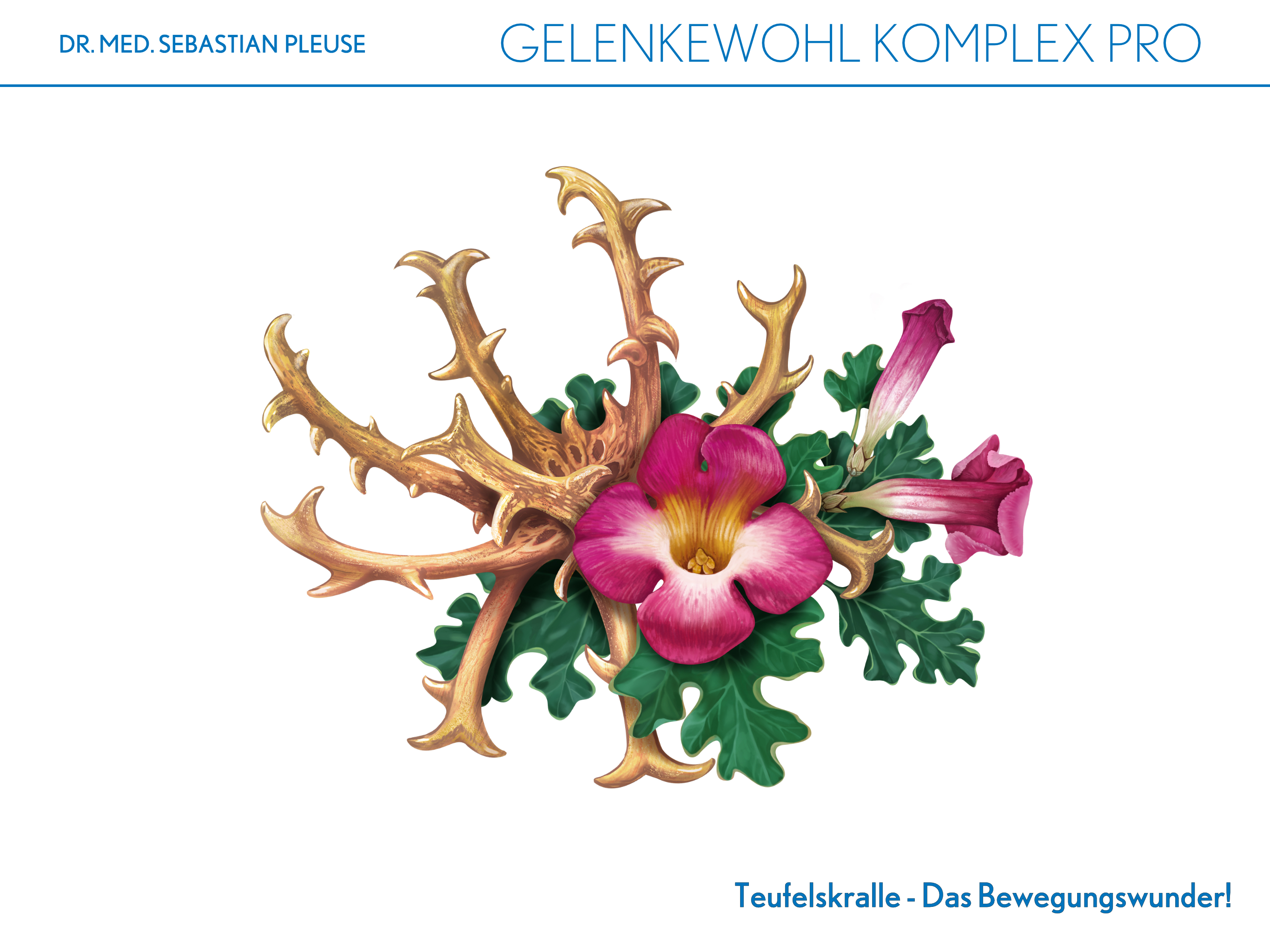 Gelenkewohl Komplex Pro DOPPELPACK (3 Monate)