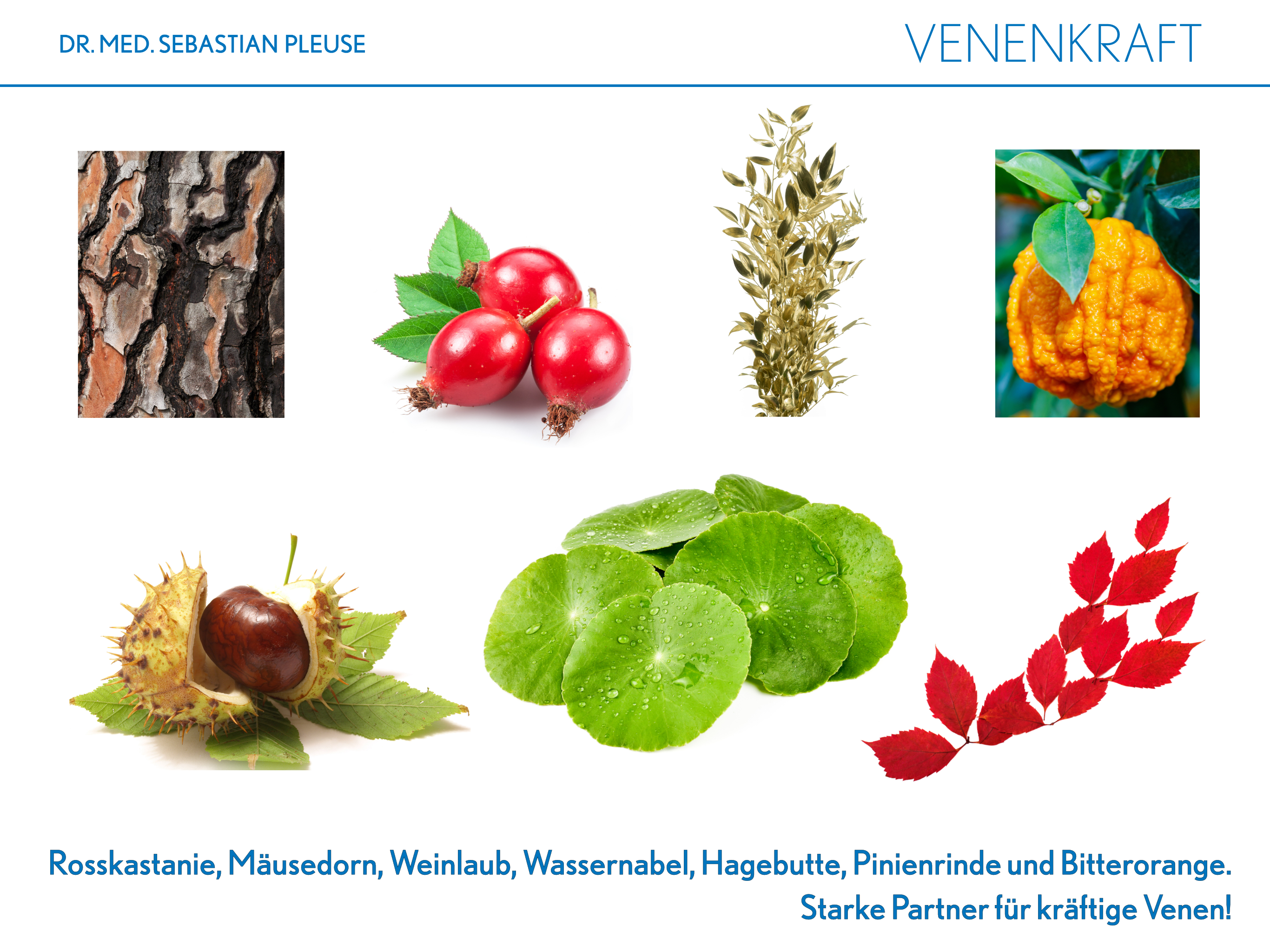 Venenkraft (1 Monat)