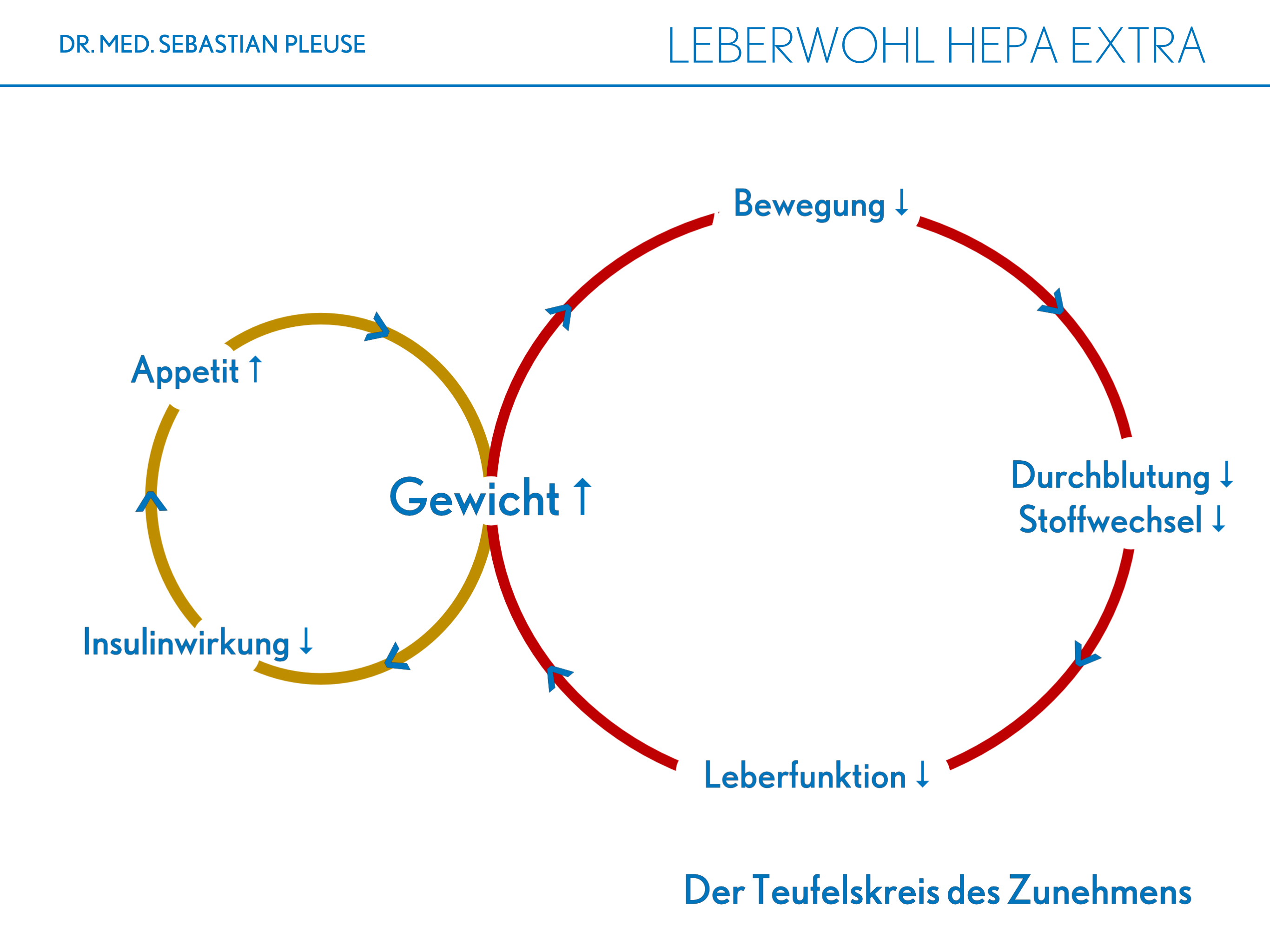 Leberwohl Hepa Extra (4 Monate)