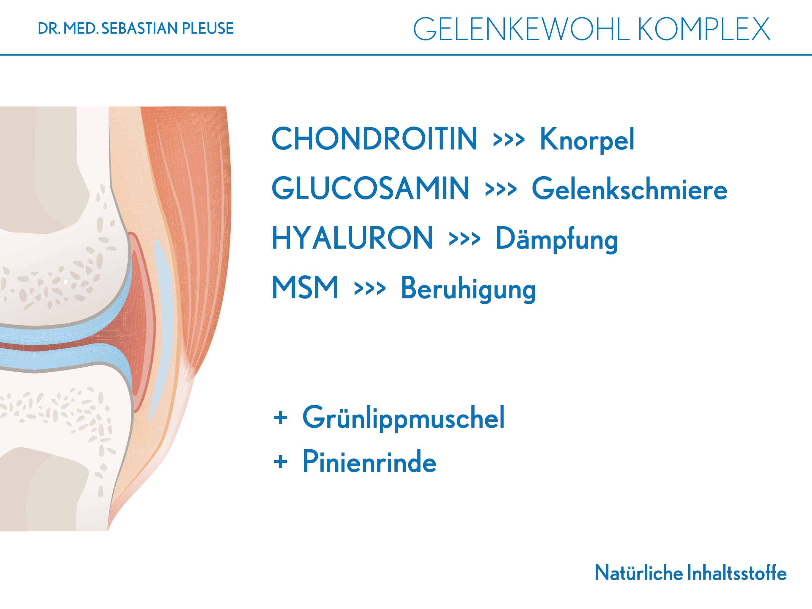 Gelenkewohl Komplex (1 Monat)