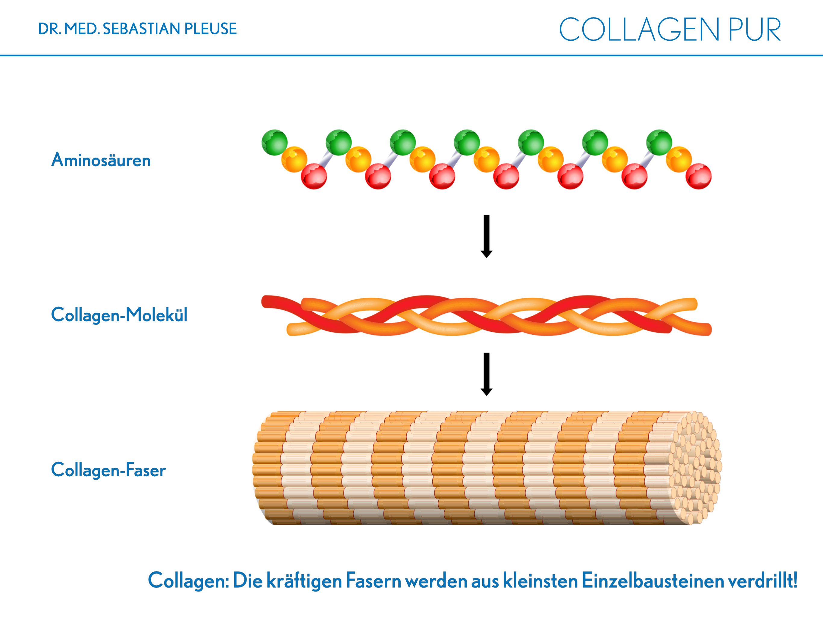 Collagen Pur DOPPELPACK (2 Monate)