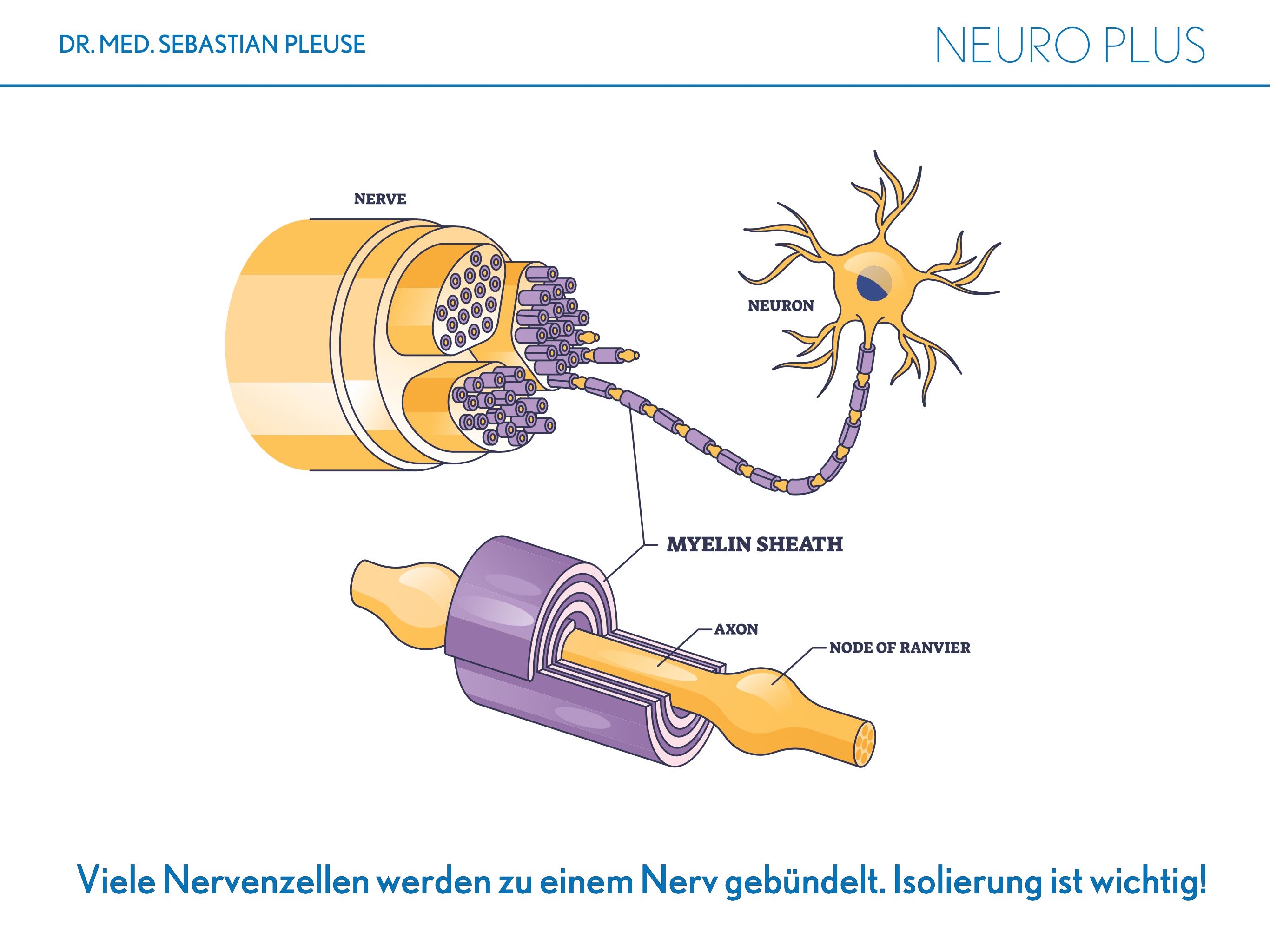 Neuro Plus Doppelpack (2 Monate)