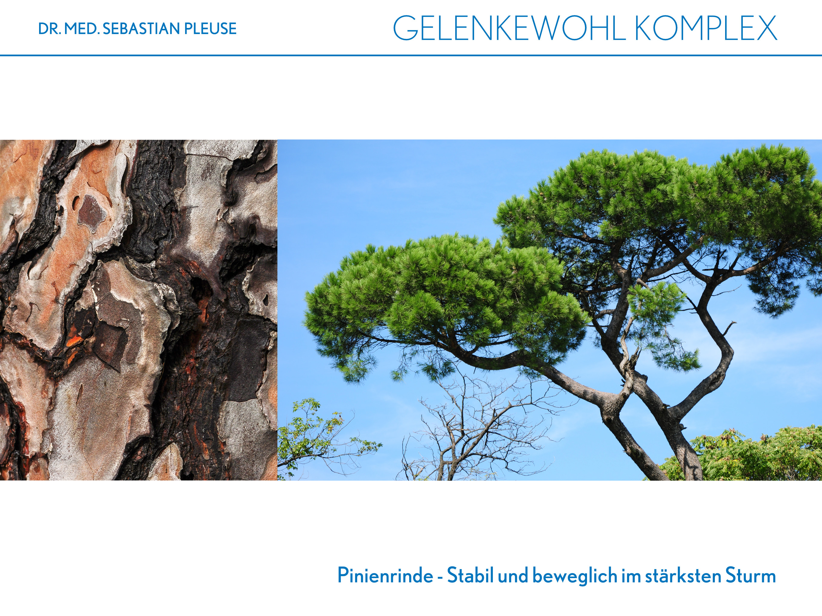 Gelenkewohl Komplex (1 Monat)