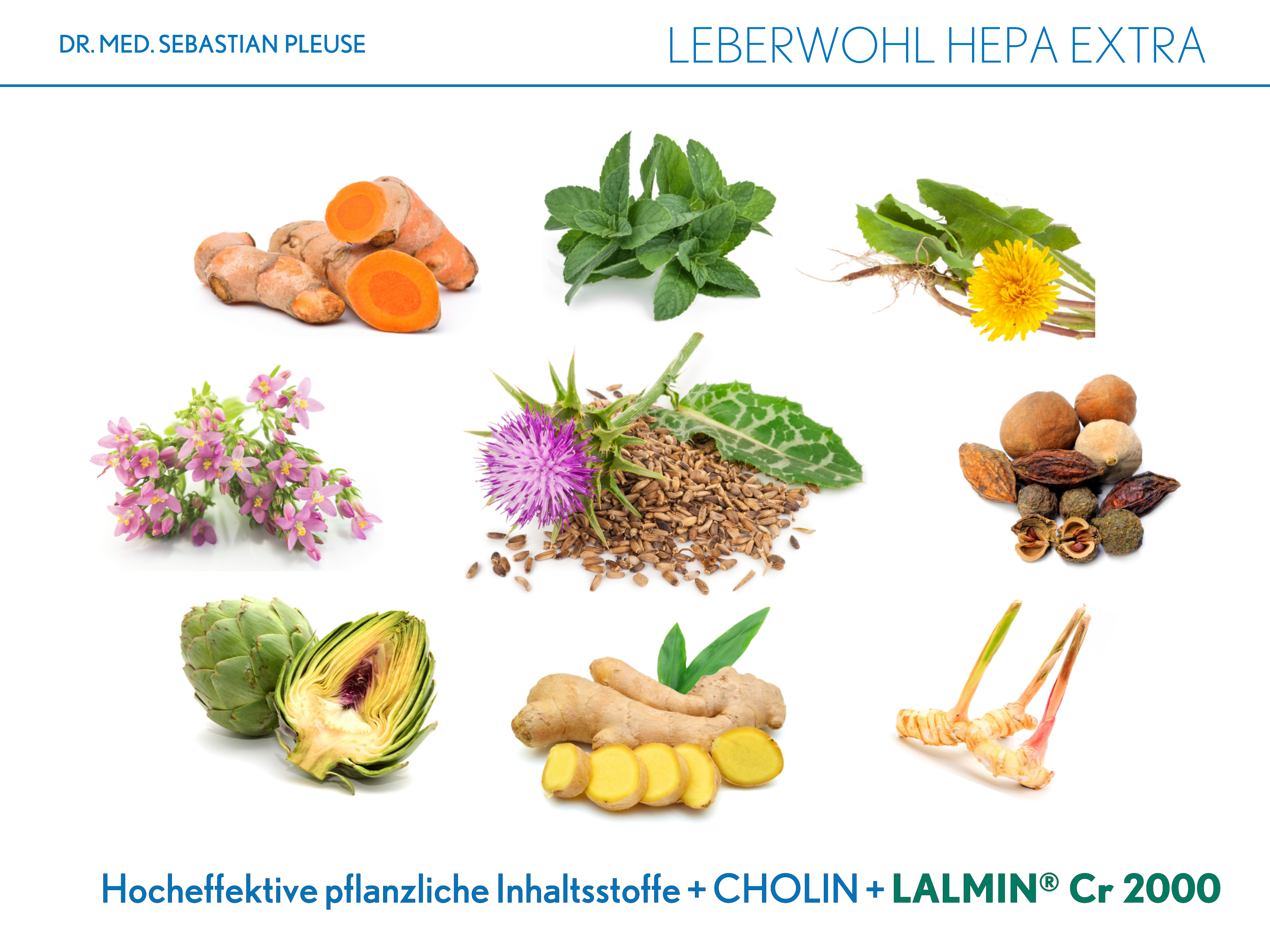 Leberwohl Hepa Extra (4 Monate)