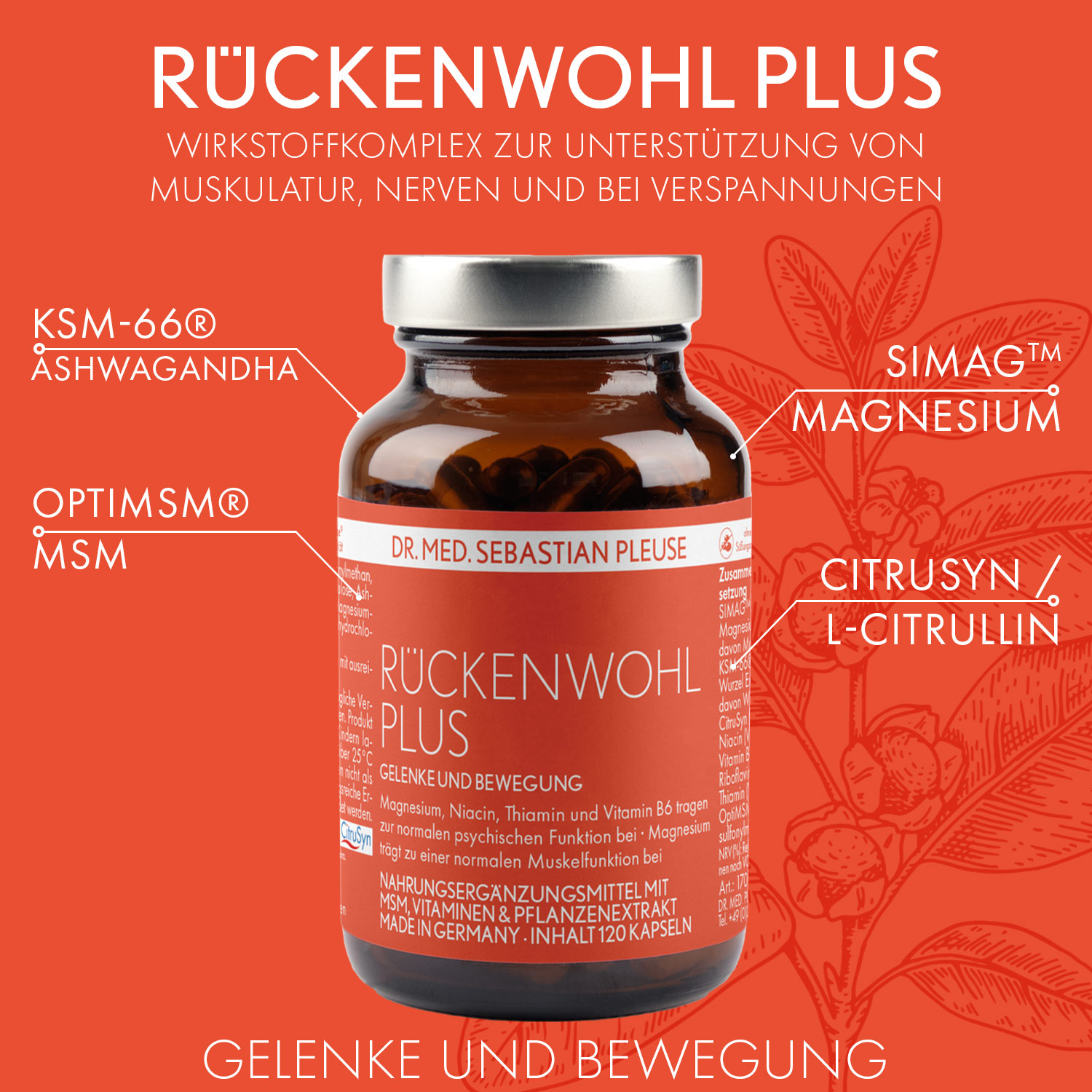 Rückenwohl Plus (2 Monate)